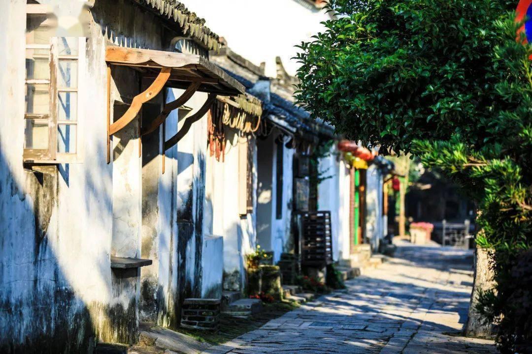 粘鼠板能不能粘蟑螂呢?-全球首屈一指的机智问答平台